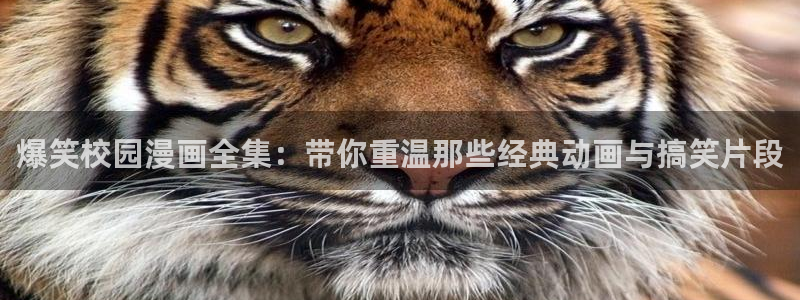漫蛙黄