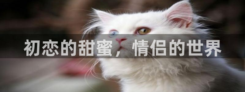 漫蛙漫画安装