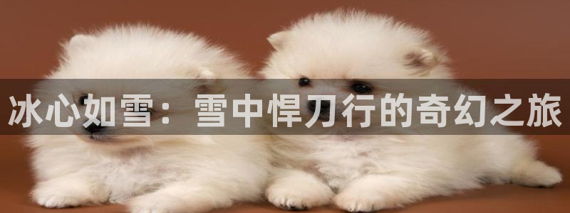 漫蛙manwa2正版下载2025