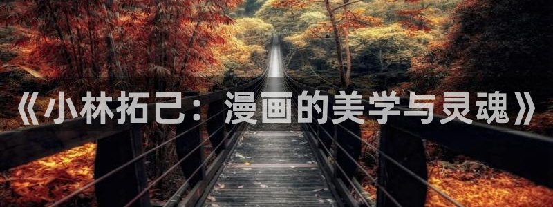 漫蛙宝贝