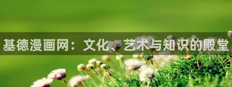 漫蛙下载旧版本