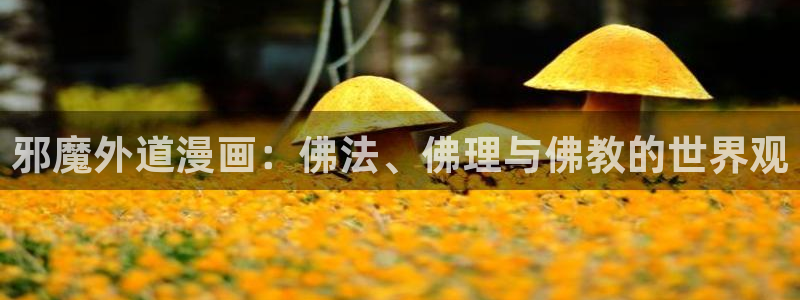漫蛙最新入口