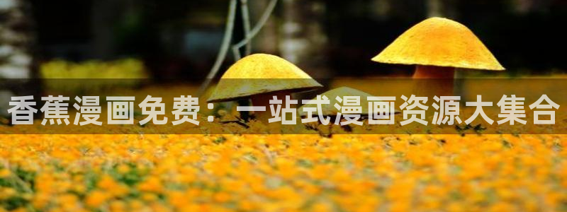 漫蛙免费漫画app下载