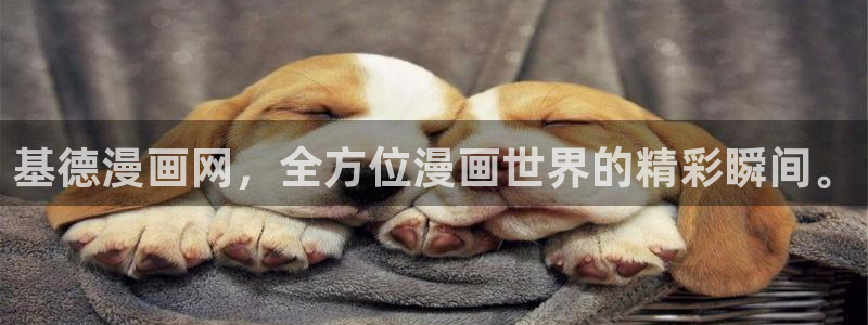 怎么下载正版漫蛙