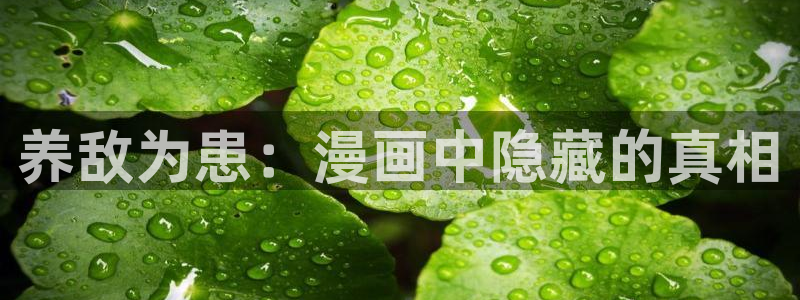 漫蛙manwa漫画在线看