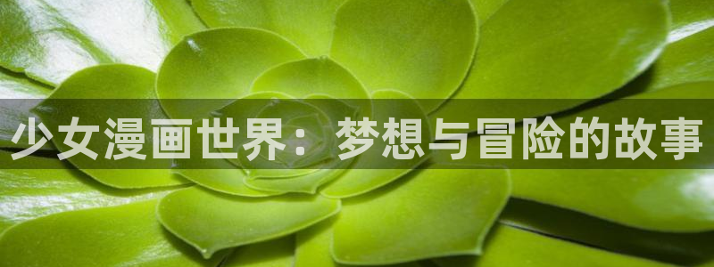 苹果怎么看漫蛙