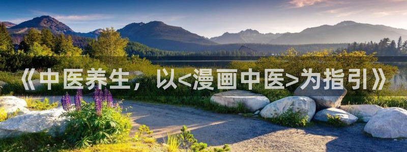漫蛙manwa2怎么用