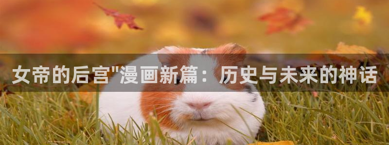 漫蛙最新地址